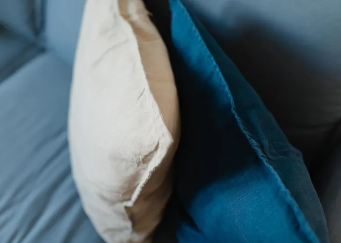 Kapkieker Нордерней